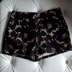 Express Black and Cream Lace Women Shorts